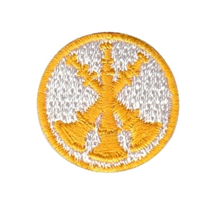 FIRE FIGHTER 3 BUGLES CROSSED, 1" CIRCLE - GOLD on WHITE - SEW ON.